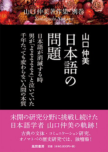 日本語の問題のイメージ
